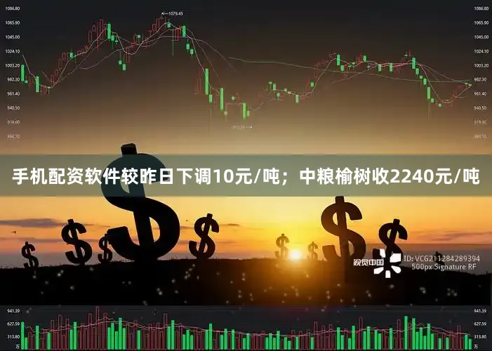 手机配资软件较昨日下调10元/吨；中粮榆树收2240元/吨